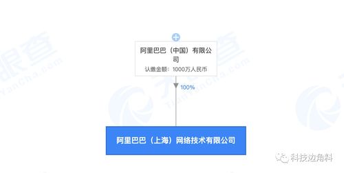 阿里巴巴在上海成立新公司，注册资本1000万元聚焦软件开发